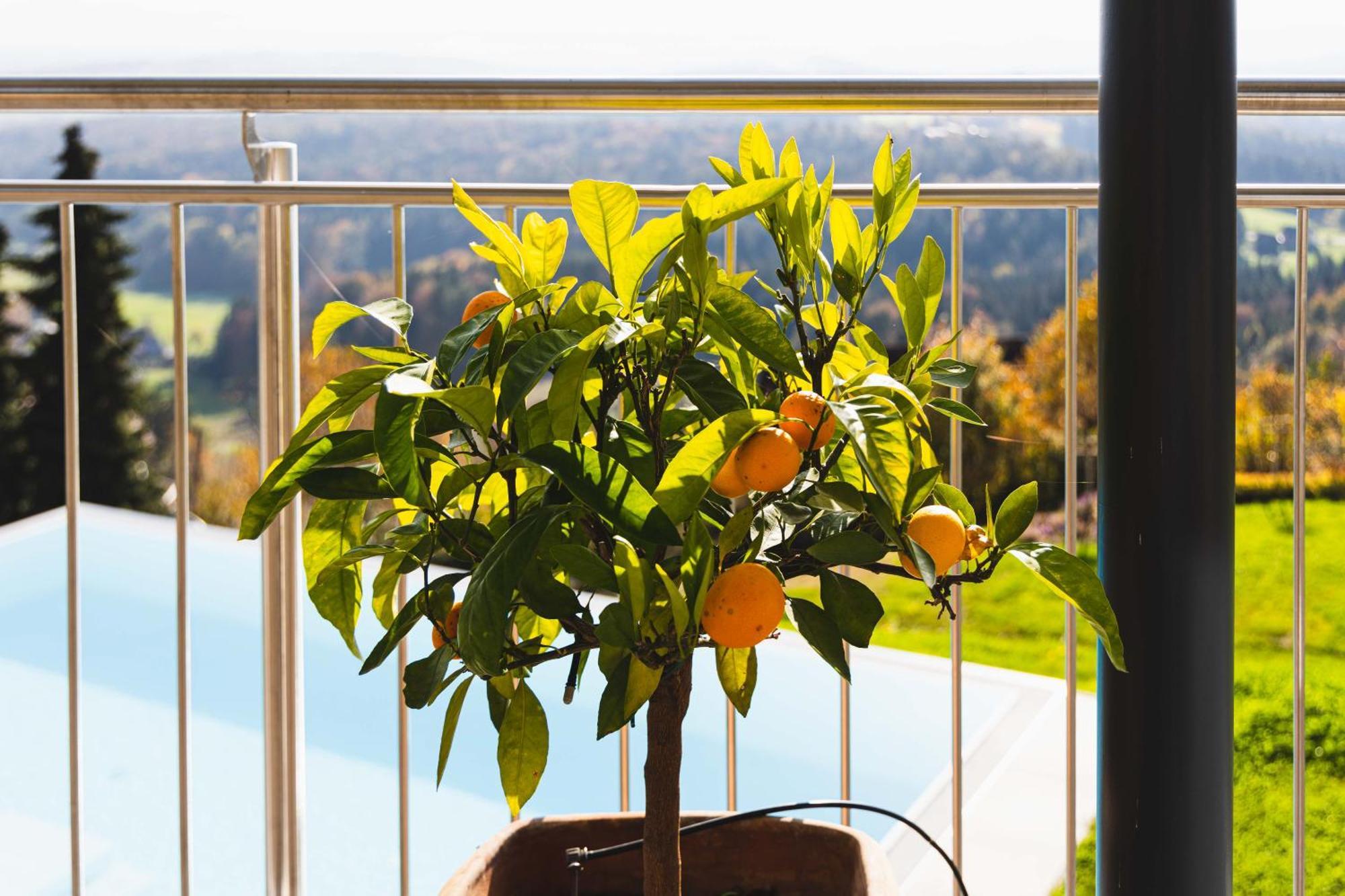 Greim15 --- Ganzes Ferienhaus Mit Fernsicht, Pool, Wellness ドイチュランツベルク エクステリア 写真